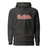 unisex-premium-hoodie-charcoal-heather-front-65e5d2ce74b3b.jpg