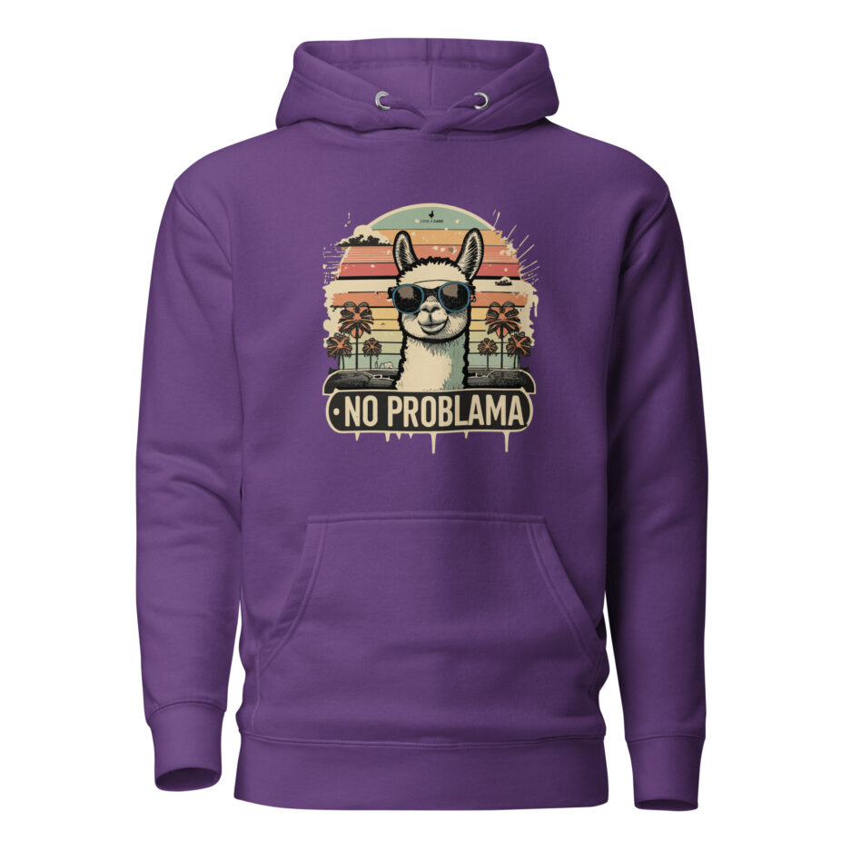 unisex-premium-hoodie-purple-front-65e5d38533d0f.jpg