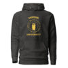 unisex-premium-hoodie-charcoal-heather-front-66d82e7607948.jpg