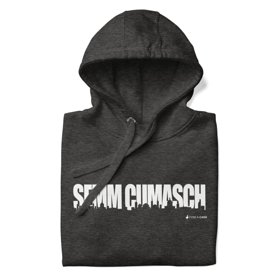 unisex-premium-hoodie-charcoal-heather-front-673123e18a959.jpg